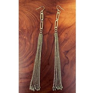 Gorgeous dangly earrings